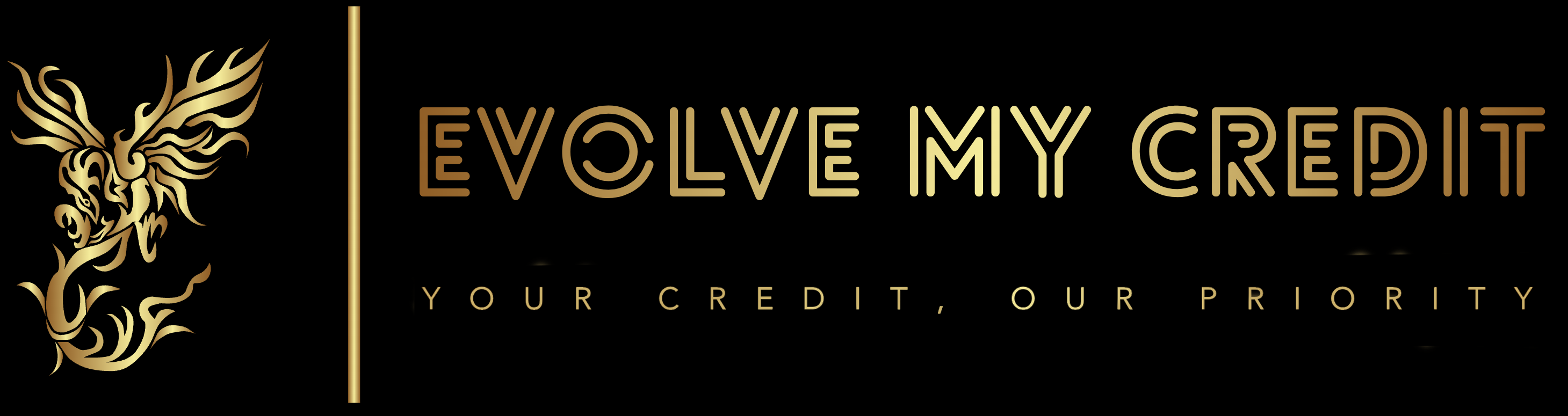 Evolve My Credit